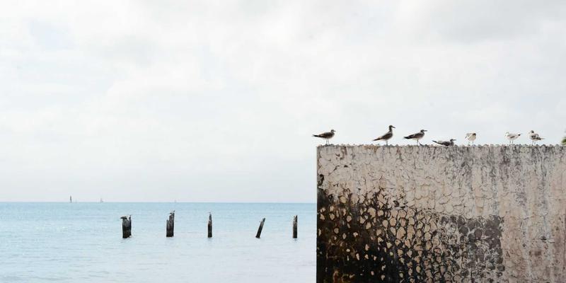 从宋代鹤形香炉到工业风香器:仙鹤意象的千年流转与现代重生