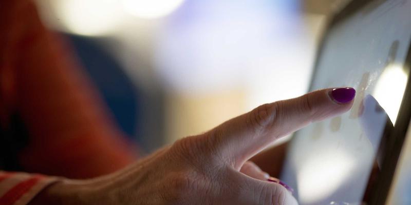 从湿地到艺廊：丹顶鹤栖息地修复如何催生收藏级文化创意