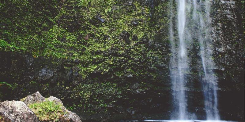 从道教斋醮到现代舞台:仙鹤舞如何从宗教仪式蜕变为文化创意艺术品