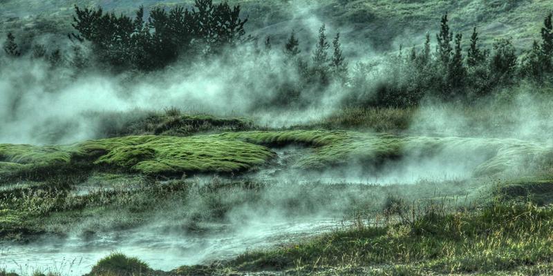 仙鹤入书房：从《长物志》鹤纹清供到现代工业风文创的审美穿越