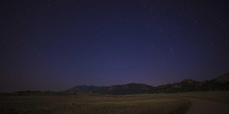 仙鹤入茶境：从宋代鹤纹茶器到工业风茶空间的隐逸美学再造