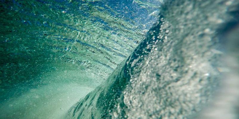 当仙鹤飞越地图：迁徙路径如何化身艺术品，成为地理与美学的跨界对话