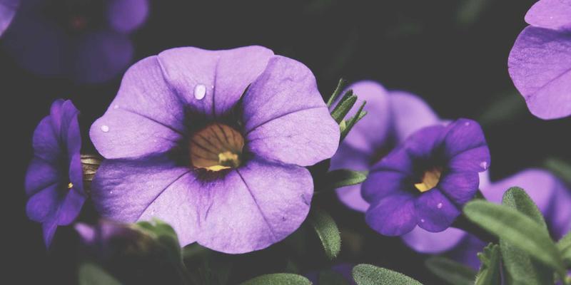 鹤翔丝路：唐代联珠鹤纹如何成为当代创意设计的东方美学密码